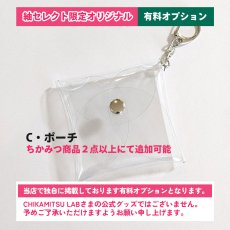 画像1: 有料オプションC・ポーチ（ちかみつ商品２点以上にて追加可能品） (1)